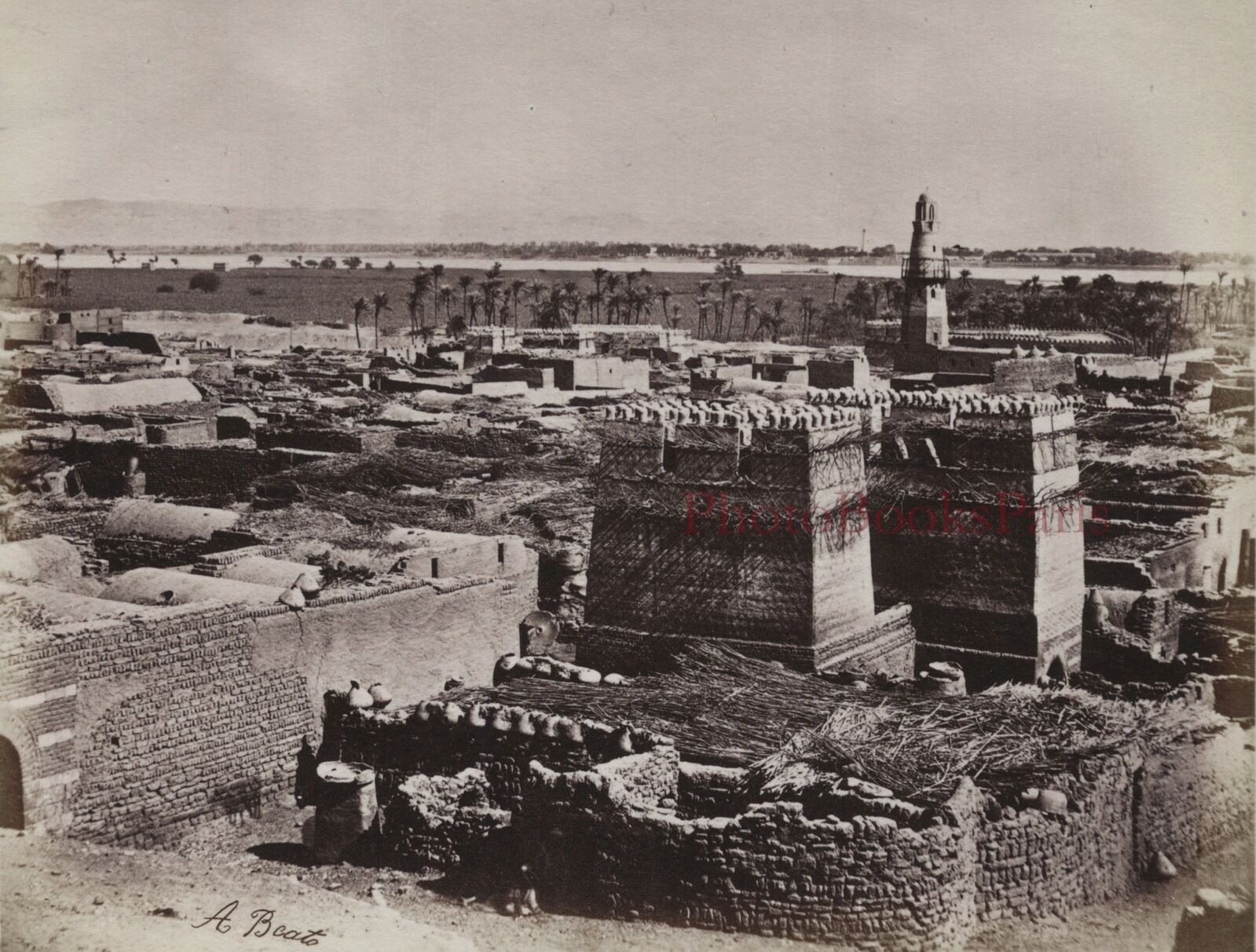 Egypt Edfu Photo Albumin IN Small Format 3 11/16x4 7/8in Ca 1880