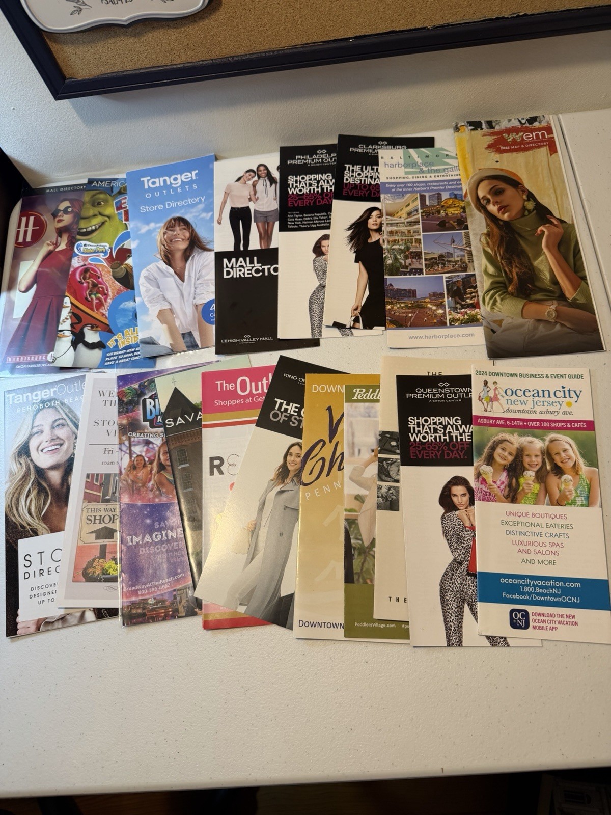 Massive Shopping Mall Brochure & Directory Lot