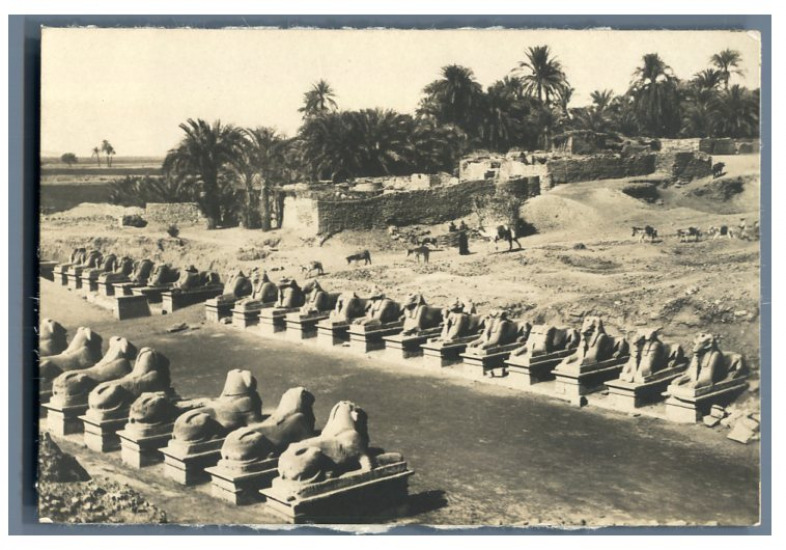 Egypt, Karnak, Sphinxes Alley Vintage Silver Print Silver Print 8x12 