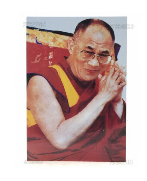 Postcard Sa Holiness The Dalai Lama Buddhism Peterandclo