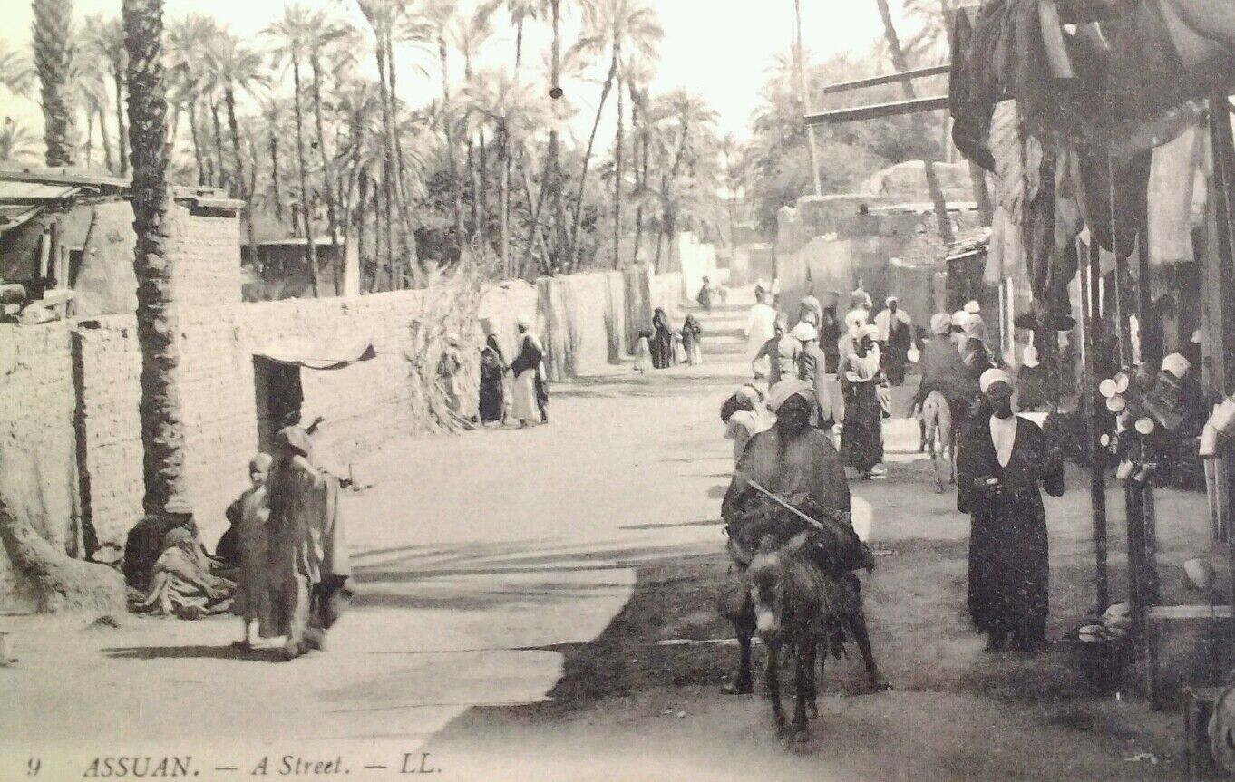 Postcard Egypt 1908 Rare Aswan Assuan Street Donkey Market Fashion Palms 