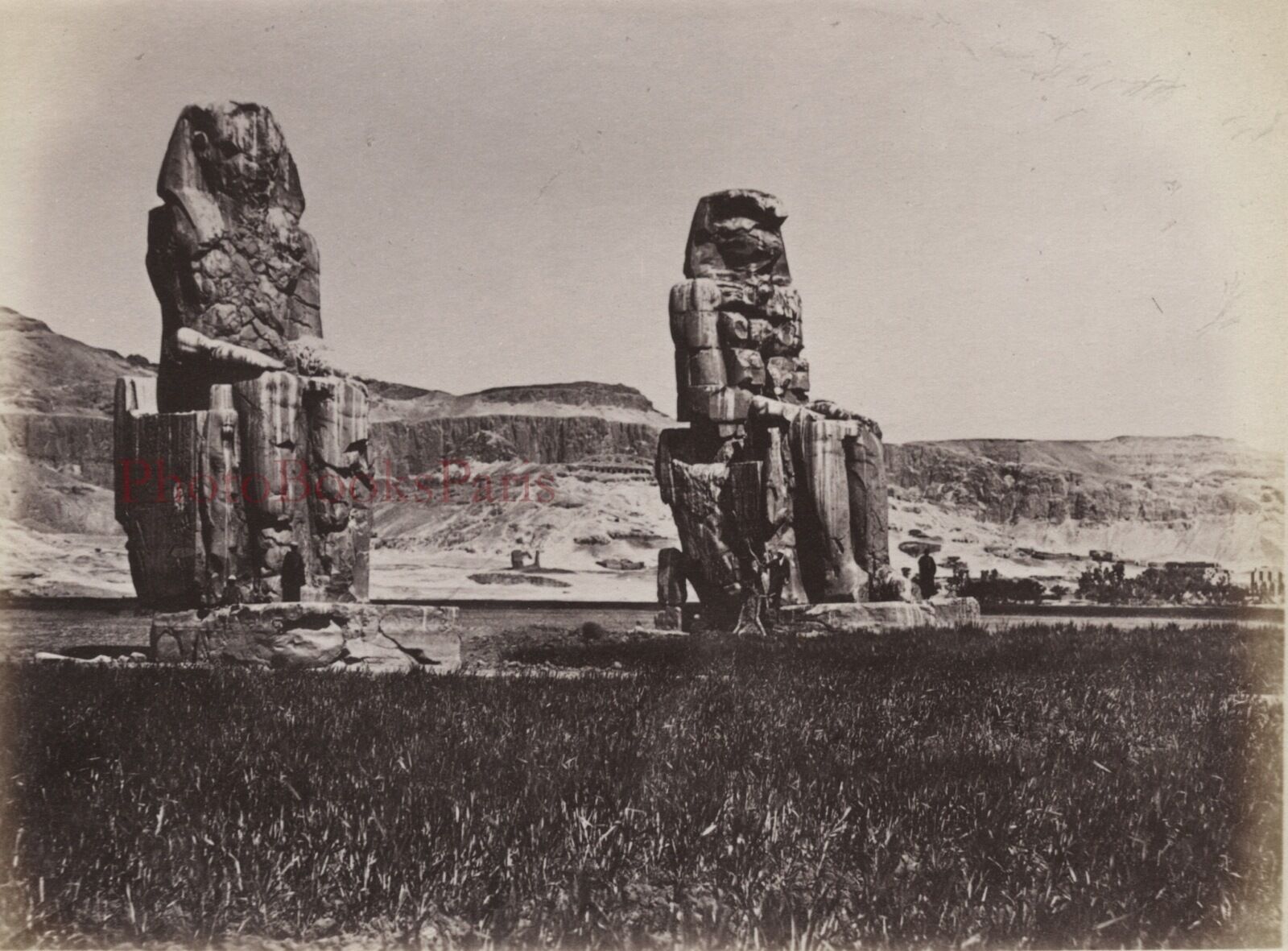 Egypt Colossi of Memnon Thebes Photo Albumin Small Format 9x13cm c1880  