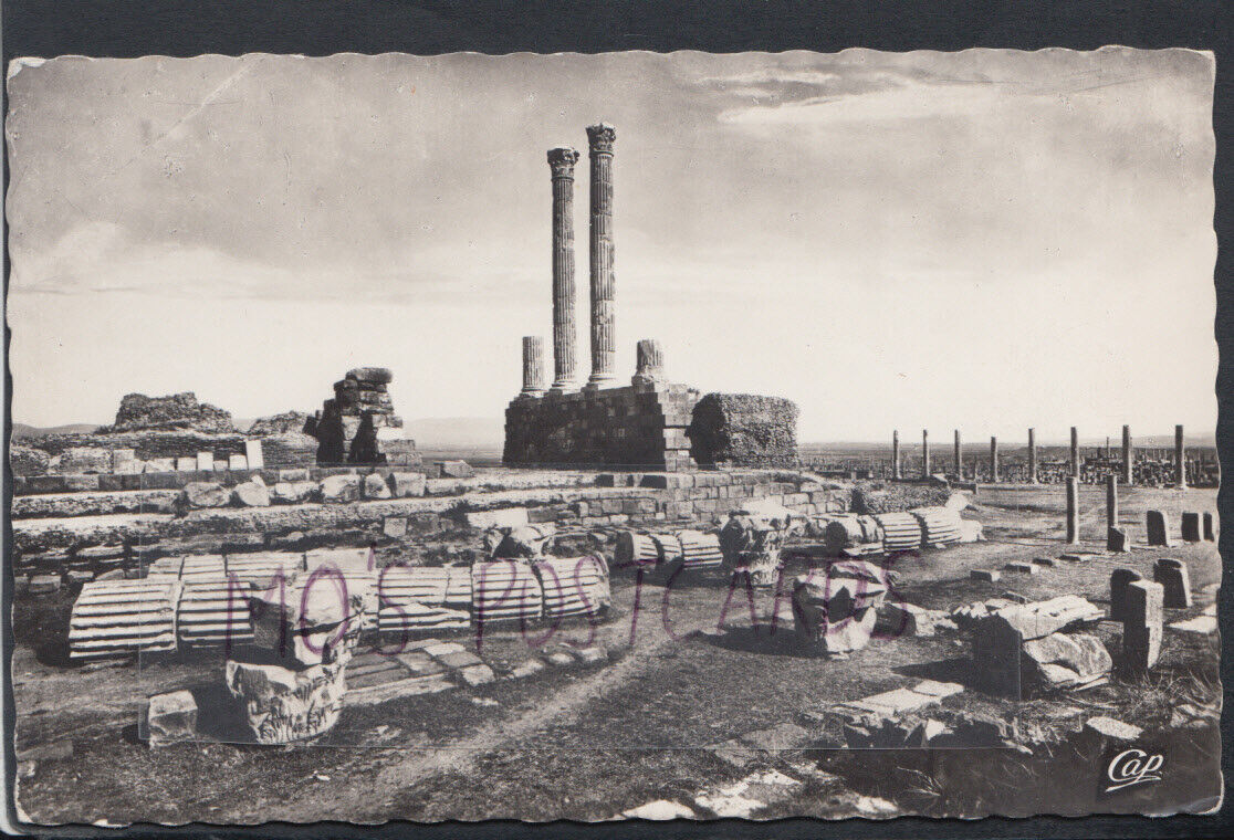 Algeria Postcard - Ruines Romaines De Timgad - Colonnes Du Pronaos  RS16220
