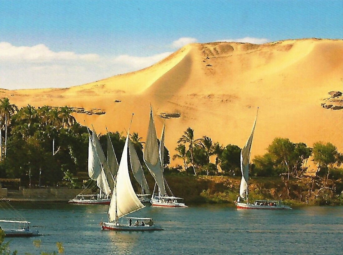 Postcard Egypt Aswan Nile River Felucca Sailboats Palm Trees Sand Dunes MINT