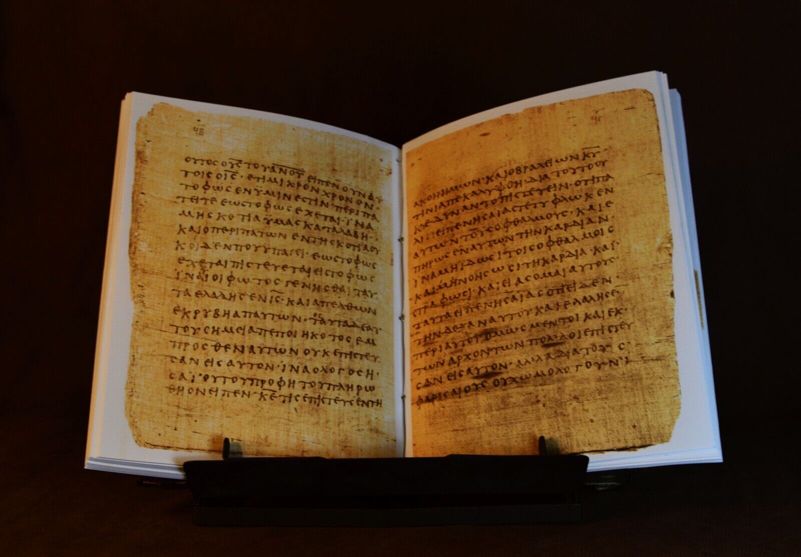 Papyrus 66 Manuscript, Facsimile