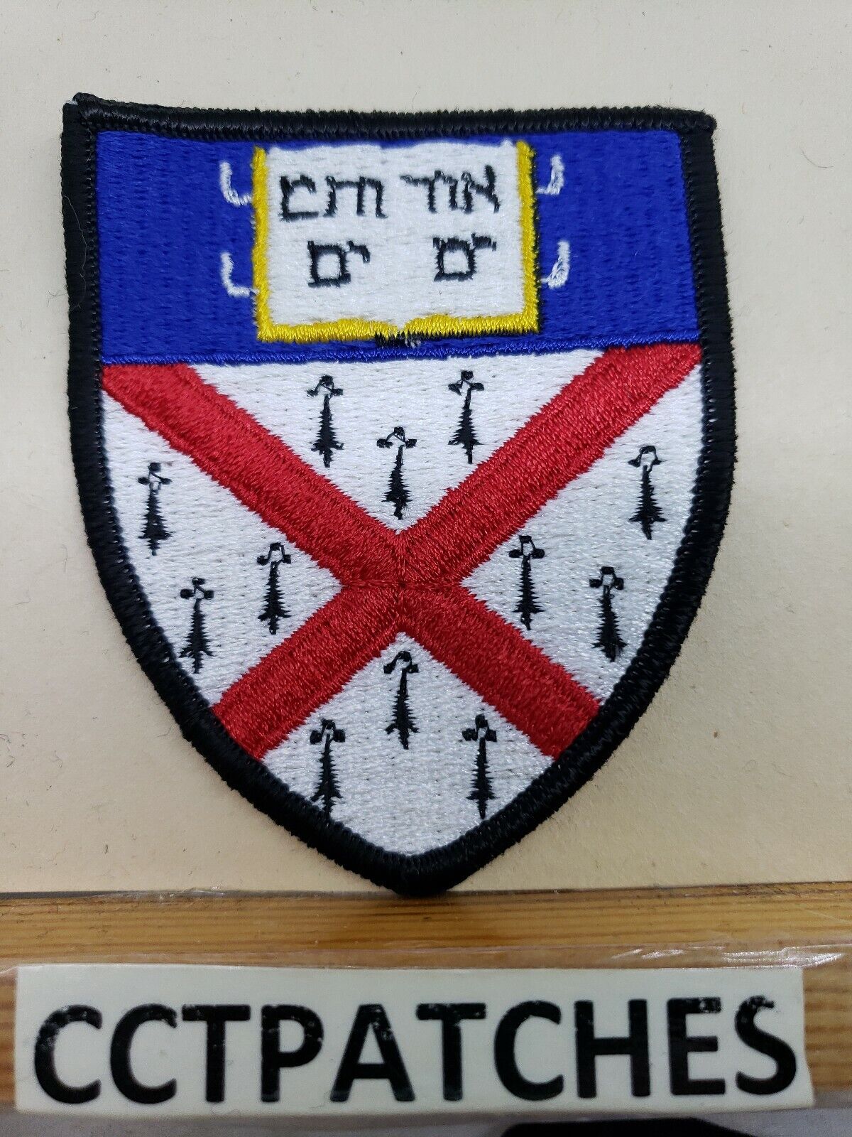 JUNIOR YALE COLLEGE FACUILTY HONORED FOR INTERDISCIPLINARY TEACHING PATCH