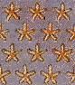stars