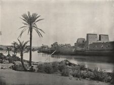 PHILAE. The island, with the Temple of Isis. Egypt 1895 old antique print picture