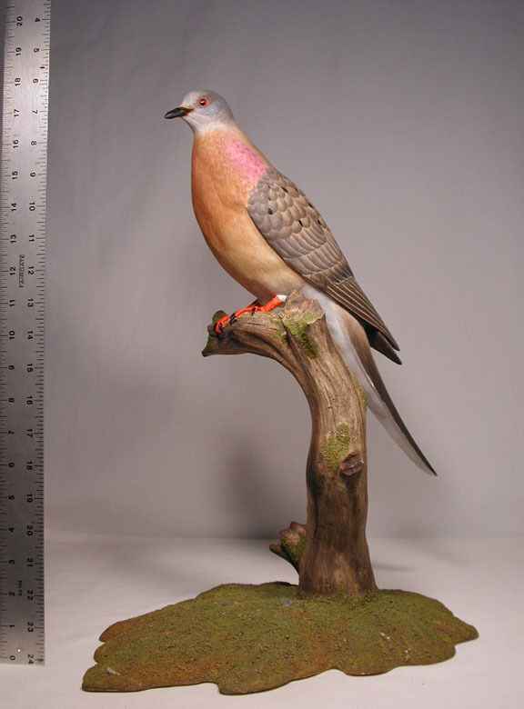 Extinct Passenger Pigeon Original Wood Carving/Birdhug