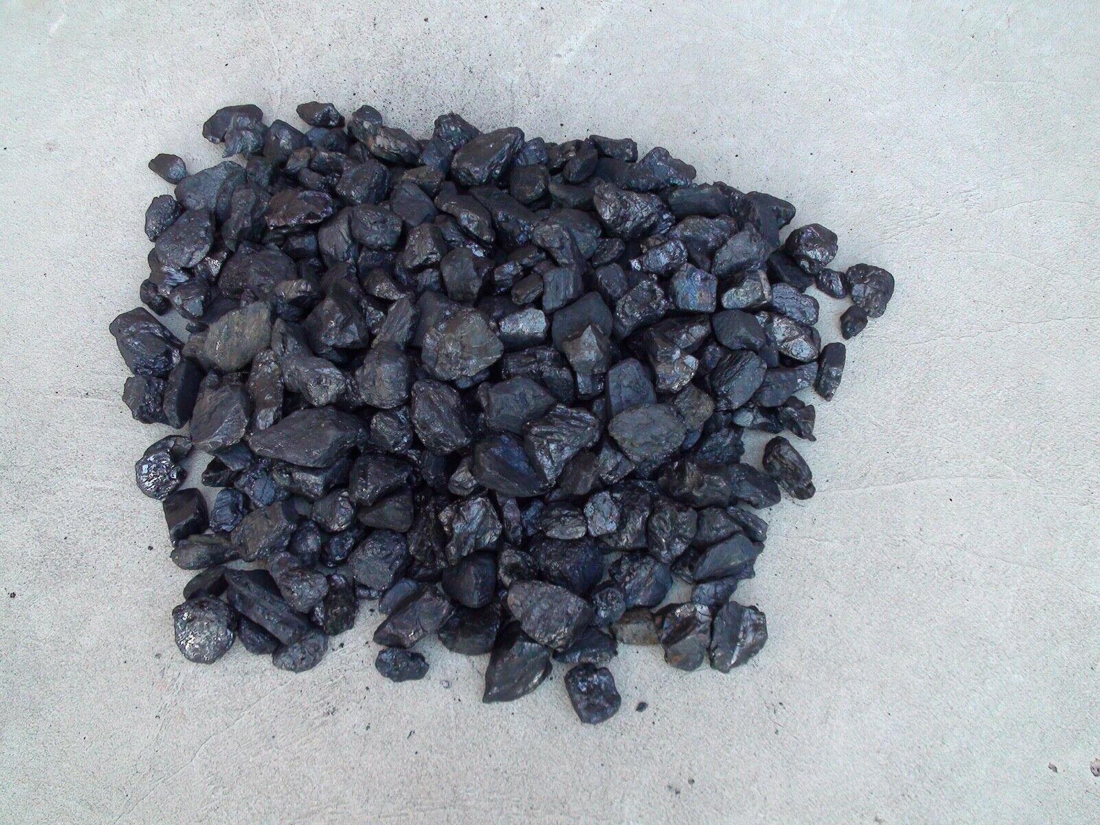 Screened Anthracite Coal NUT Blacksmith Teacher Geological Teacher Sample 20Lbs