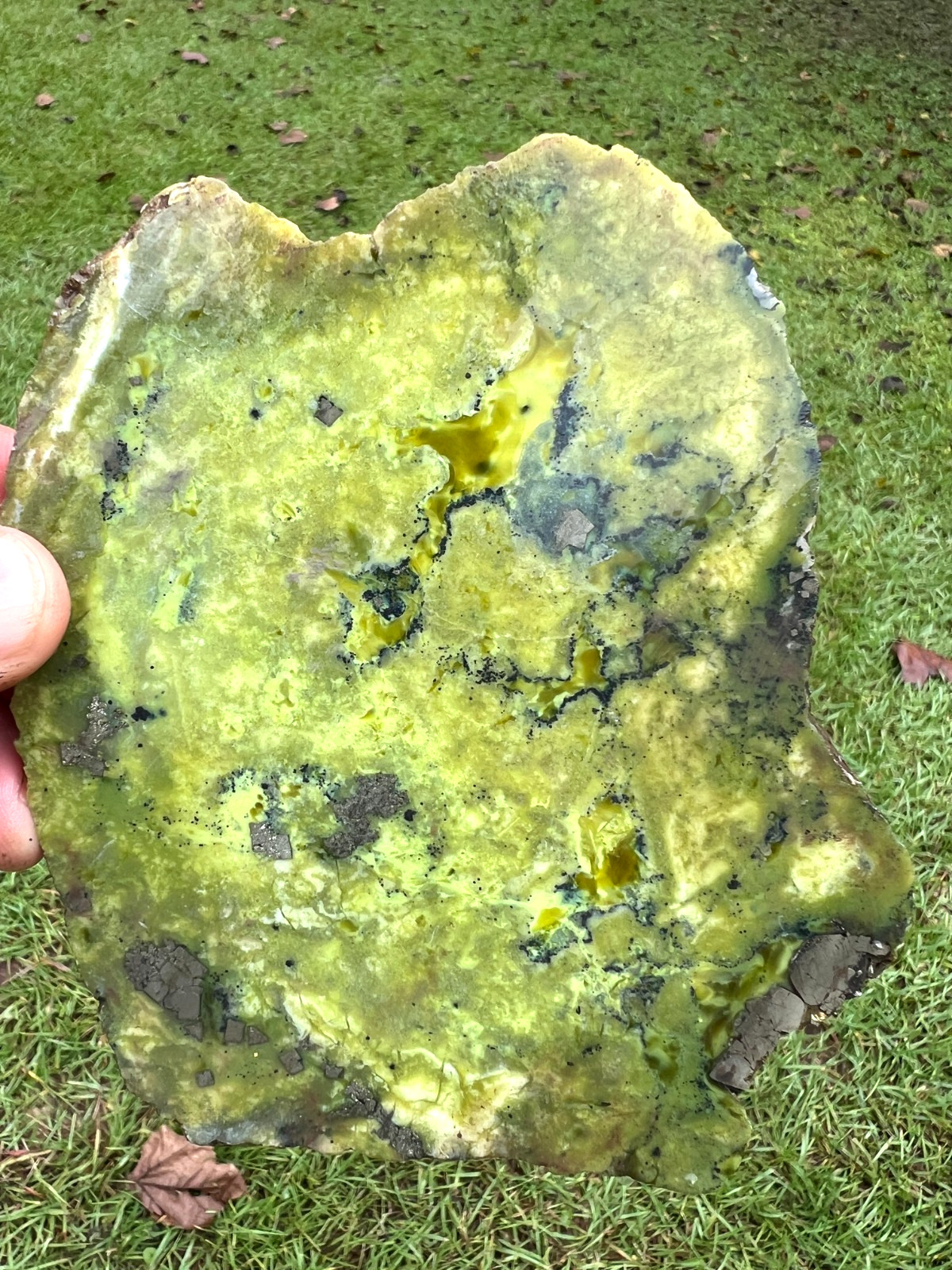 Lemon-Lime Serpentine - With Pyrite (fools gold) - LARGE - 242g Lemon-Lime Serpentine - With Pyrite (fools gold) - LARGE - 242g
