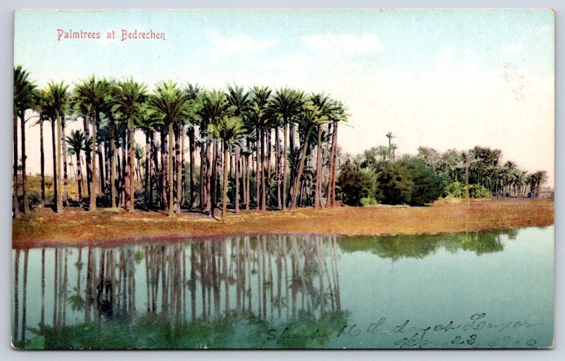 Antique Egypt Postcard MIT RAHINA Palmtrees at Bedrechen 1900