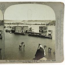 Philae Temple Aswan Egypt Stereoview c1904 Dam Inundation River Nile Photo A2225 picture