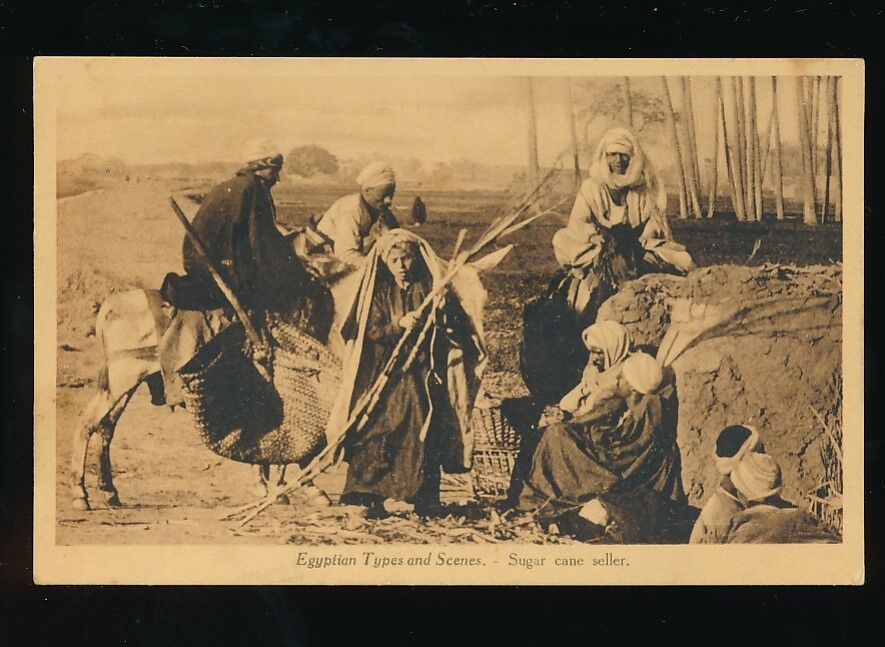 Egypt Egyptian Types and Scenes Sugar Cane Seller c1900/20s? PPC
