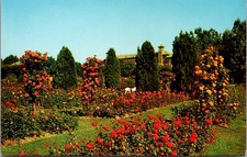 Hershey Rose Garden Pillars Arboretum Hershey PA Vintage Postcard 5P21-23 picture