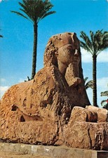 EGYPT WITH RAHINA picture