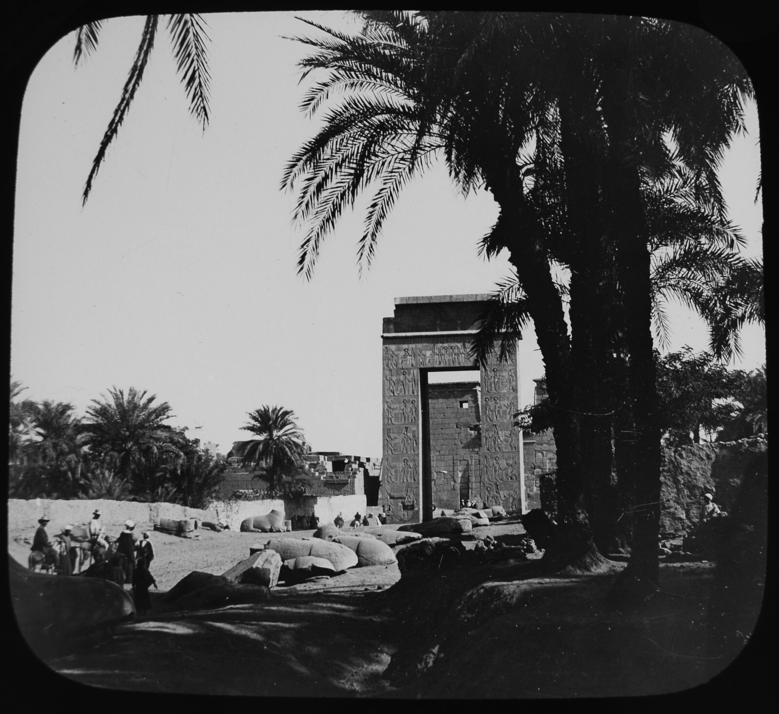 Photo KARNAK TEMPLE EGYPTIAN SPHINXES C1890 ANTIQUE Magic Lantern Slide Photo KARNAK TEMPLE EGYPTIAN SPHINXES C1890 ANTIQUE Magic Lantern Slide