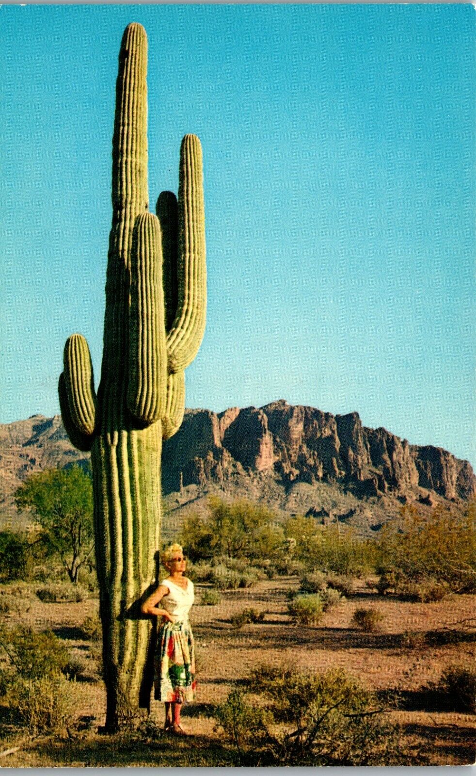 Giant Saguaro Catus  Beautiful Blonde Women beneath arms Vintage Postcard KK1