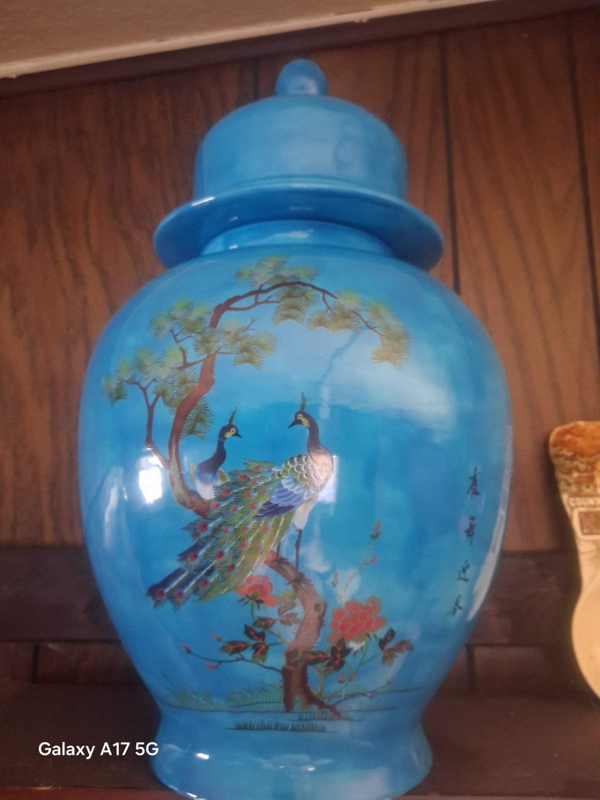 Vintage Chinese Turquoise Porcelain Ginger Jar with Lid – Peacock & Peony Motifs