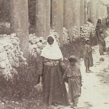 Herod's Street of Columns Samaria Paletine Hebrew Shomron 1900 Photo Stereoview picture