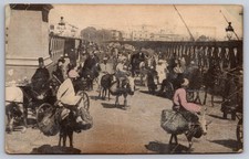 Cairo Egypt Great Nile Bridge People on Donkeys Antique Postcard picture