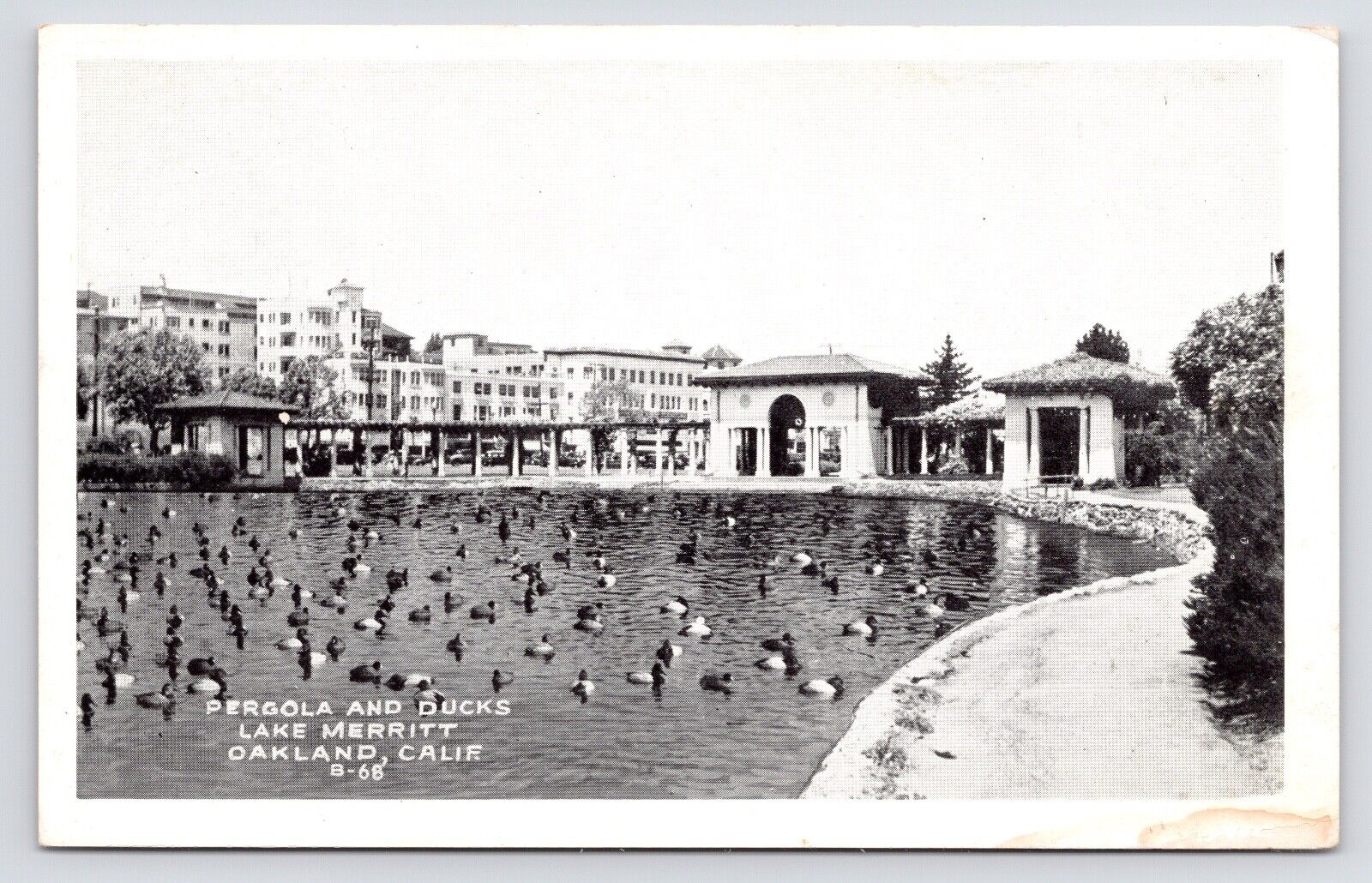 c1930~Lake Merritt~Pergola and Colonnade~Oakland California CA~Antique Postcard
