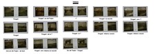 Timgad Algeria 13 Glass Plates c1910 Photos Trajan's Bow Theatre Market... picture
