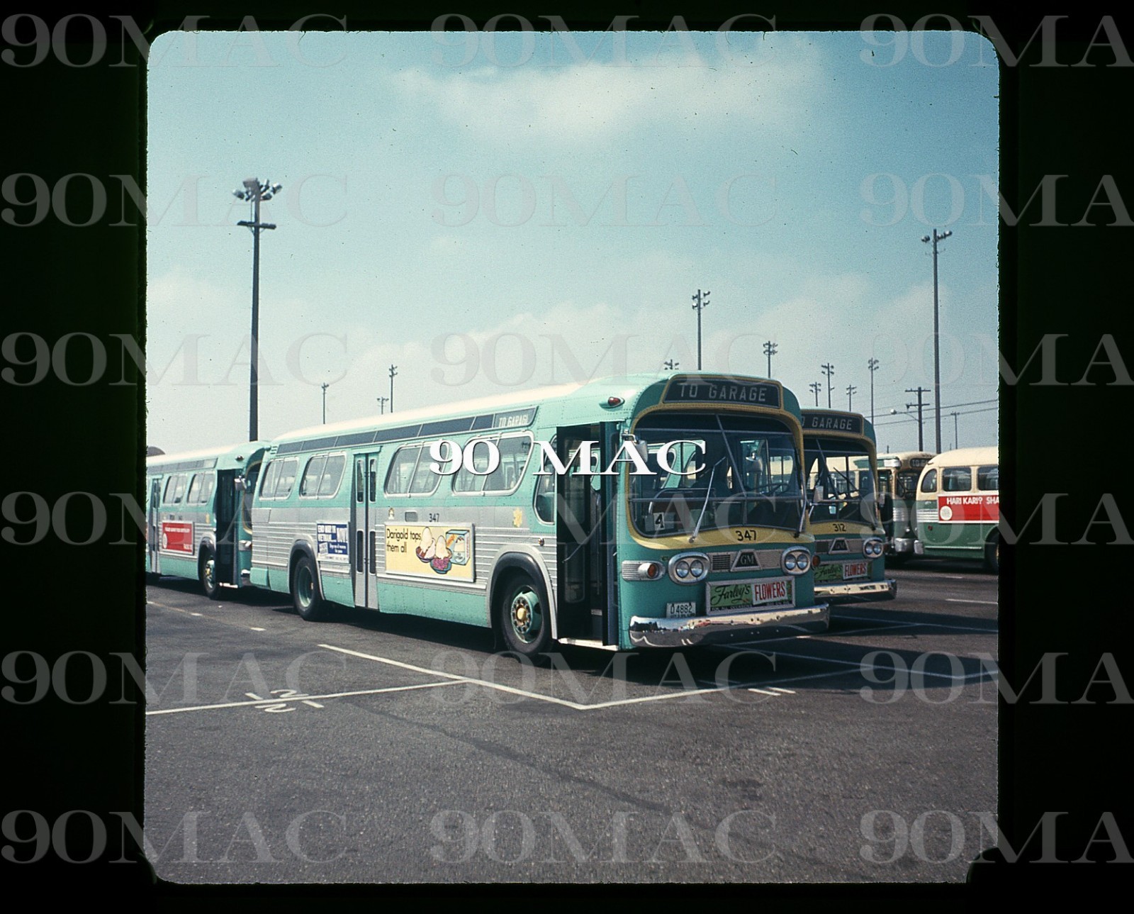 TACOMA TRANSIT. GM COACH BUS #347. Tacoma (WA). Original Slide 1969. TACOMA TRANSIT. GM COACH BUS #347. Tacoma (WA). Original Slide 1969.