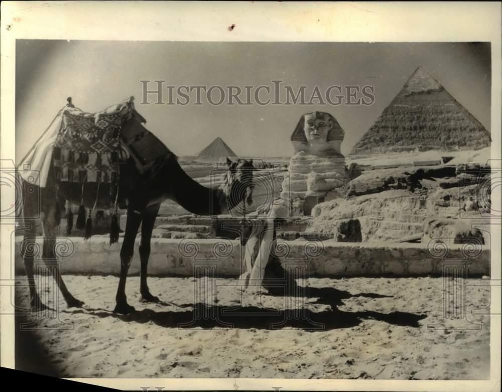 1935 Press Photo An Arab guide makes his mid day prayer, Cairo Egypt - nex19987 1935 Press Photo An Arab guide makes his mid day prayer, Cairo Egypt - nex19987
