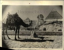 1935 Press Photo An Arab guide makes his mid day prayer, Cairo Egypt - nex19987 picture