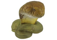 Animal Heavenly Body Ophiophagus King Cobra Collectible Snake Statue picture