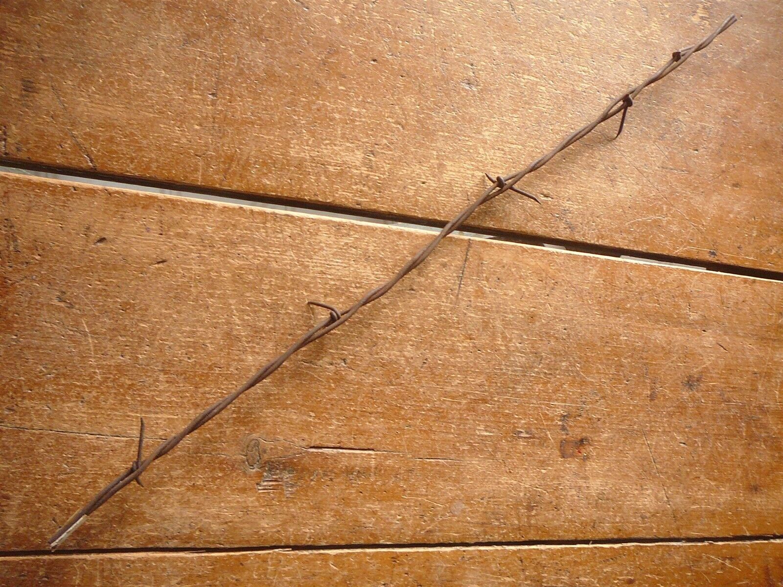 MILES STAPLE on 1 of 2 - EXTRA LONG & VERY SHORT POINTS - ANTIQUE BARBED WIRE 