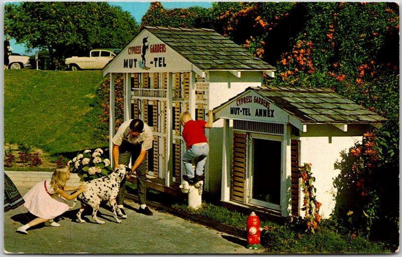 1960s Cypress Gardens Florida Postcard 