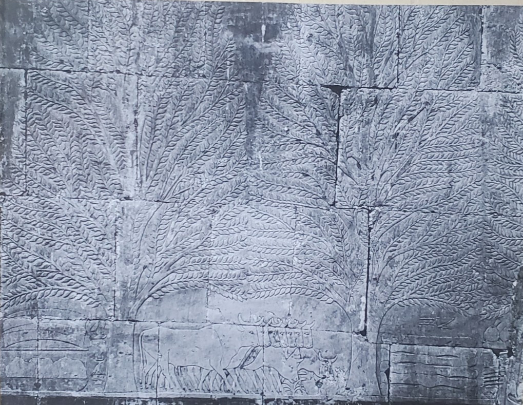 Colonnade Relief,  Great Temple, Dei El Bahri, Magic Lantern Glass Slide