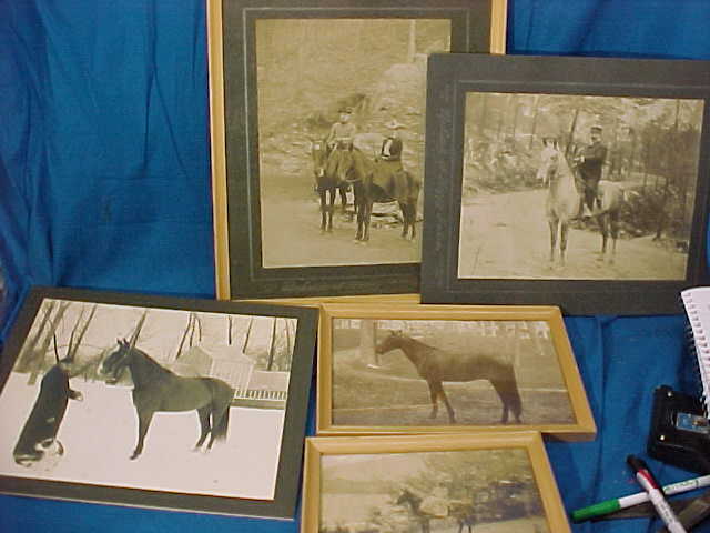 5-19thc HORSE PHOTOS 10 x 8 by N.E.McLeod WILD WEST PHOTOGRAPHER Hot Springs Ark