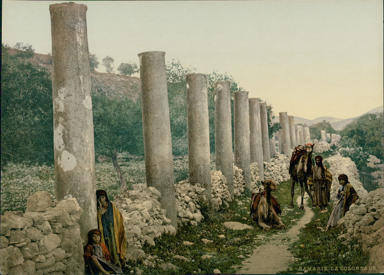 Palestine, Samaria. La Colonnade. P.Z. vintage photochrome.  photochromy, vi