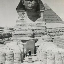Egypt Giza Great Sphinx Excavations Pyramid Egyptian Photo Stereoview F314 picture