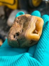 Agate Rough Natural Uncut Tennessee Crowley's Ridge Memphis picture