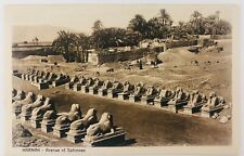 Vintage Karnak Egypt RPPC Avenue of Sphinxes Donkeys Camel Palm Trees picture