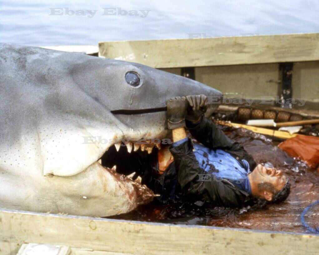 JAWS 1975 Movie Great White Shark 8X10 Photo Reprint