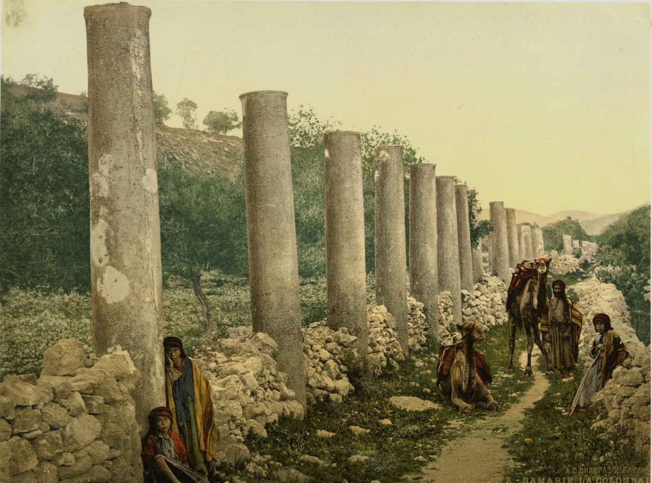P.Z. Palestine, Samaria the Colonnade Vintage Print, Palestine Photochromy, v