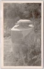 Egypt Karnak 1910 Sacred Scarab Beetle Resurrection Real Photo RPPC Postcard picture
