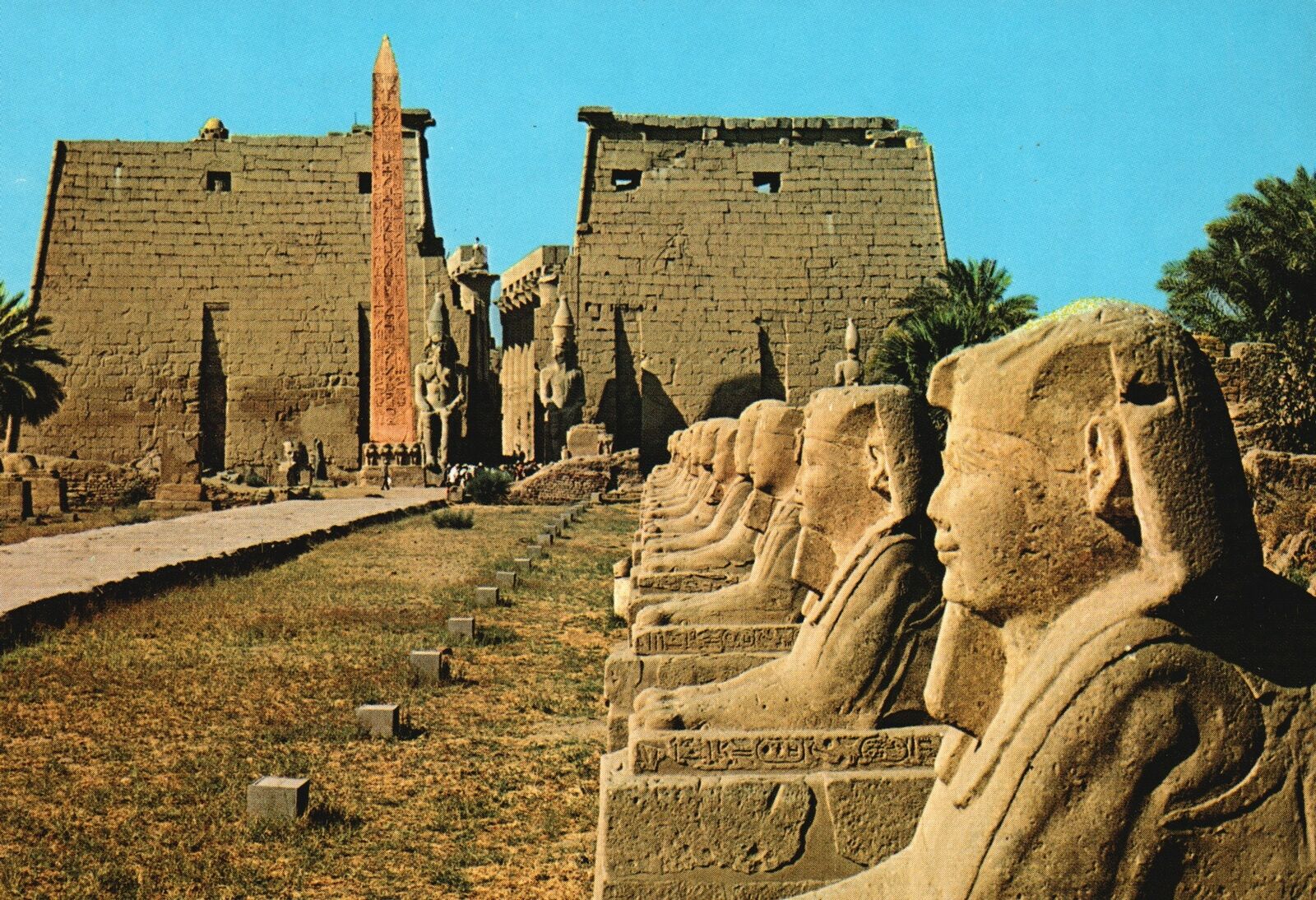 Postcard Avenue Des Sphinxes Au Temple De Luxor Historical Landmark Luxor Egypt