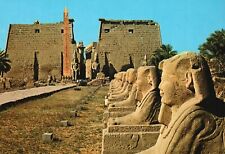 Postcard Avenue Des Sphinxes Au Temple De Luxor Historical Landmark Luxor Egypt picture