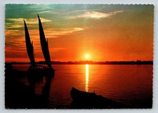 Vintage Lehnert & Landrock Cairo Egypt Nile Sunset Felucca Sailboats Postcard picture