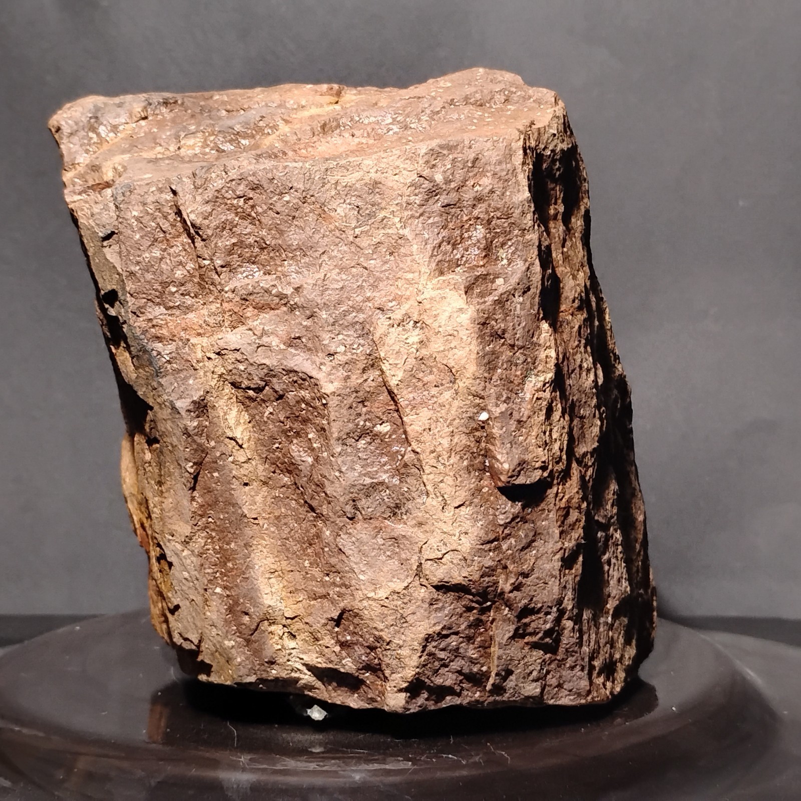 The One And Only Columnar Rhyolite Specimen For Sale Super Rare 1.5 B ...