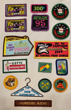 TARHEEL TRIAD Girl Scout PATCH LOT/16 pcs 2009-2010 ERA - MINT picture
