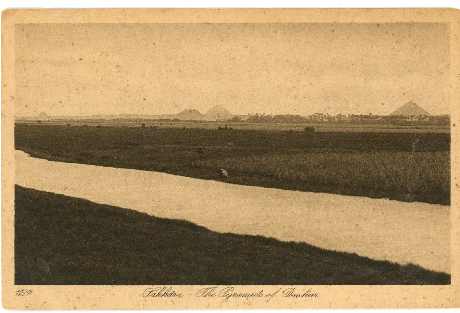 Saqqara Egypt View of Pyramids of Dahshur Divided Back Postcard c. 1910 Unused Saqqara Egypt View of Pyramids of Dahshur Divided Back Postcard c. 1910 Unused