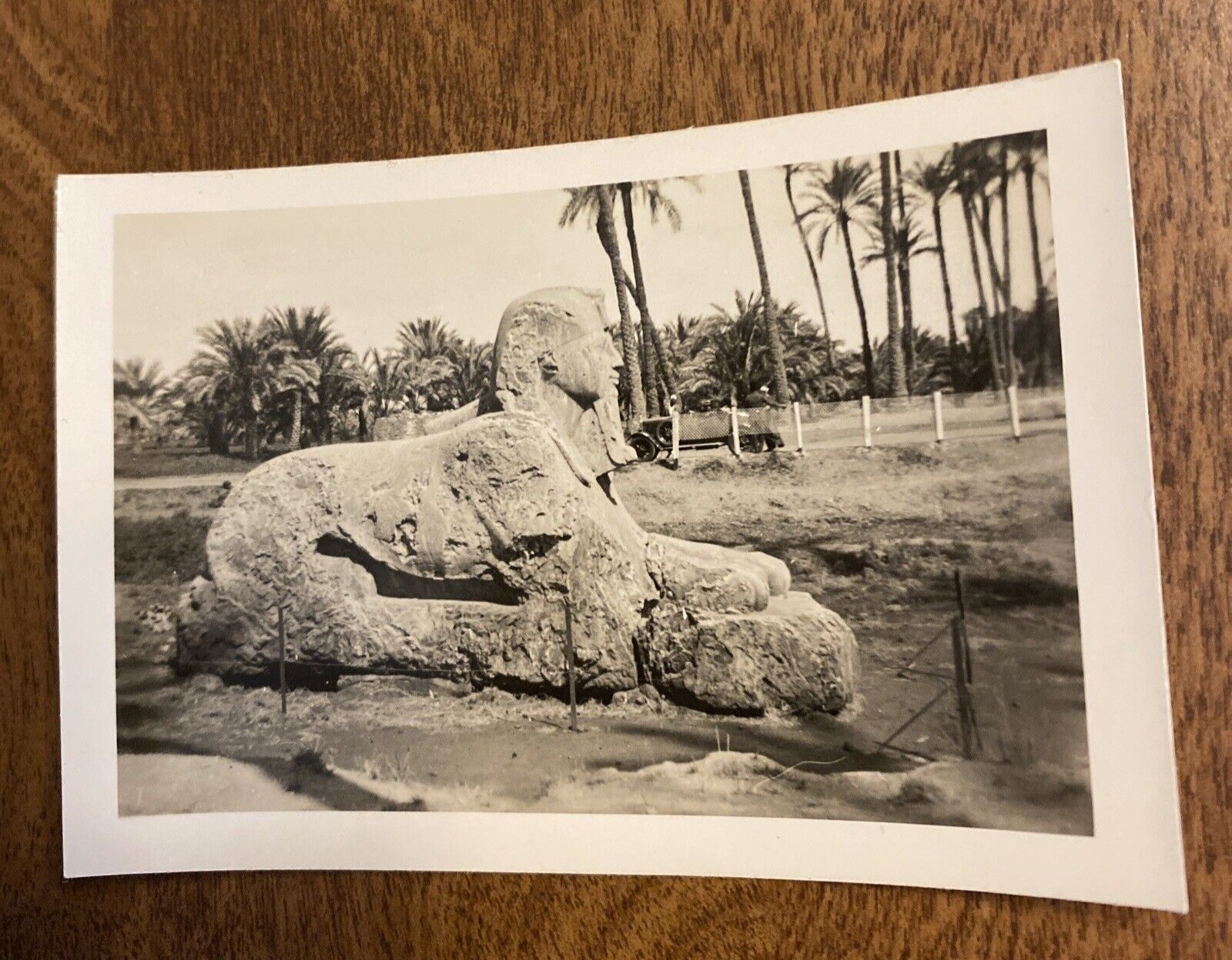 1940s Ancient Sphinx Statue Monument Saqqara Egypt Africa Real Photo P9o4