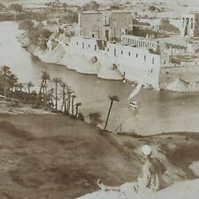 Bigeh Egypt Philae Island Temples Nile River Nubia Aswan Low Dam Stereoview J298 picture